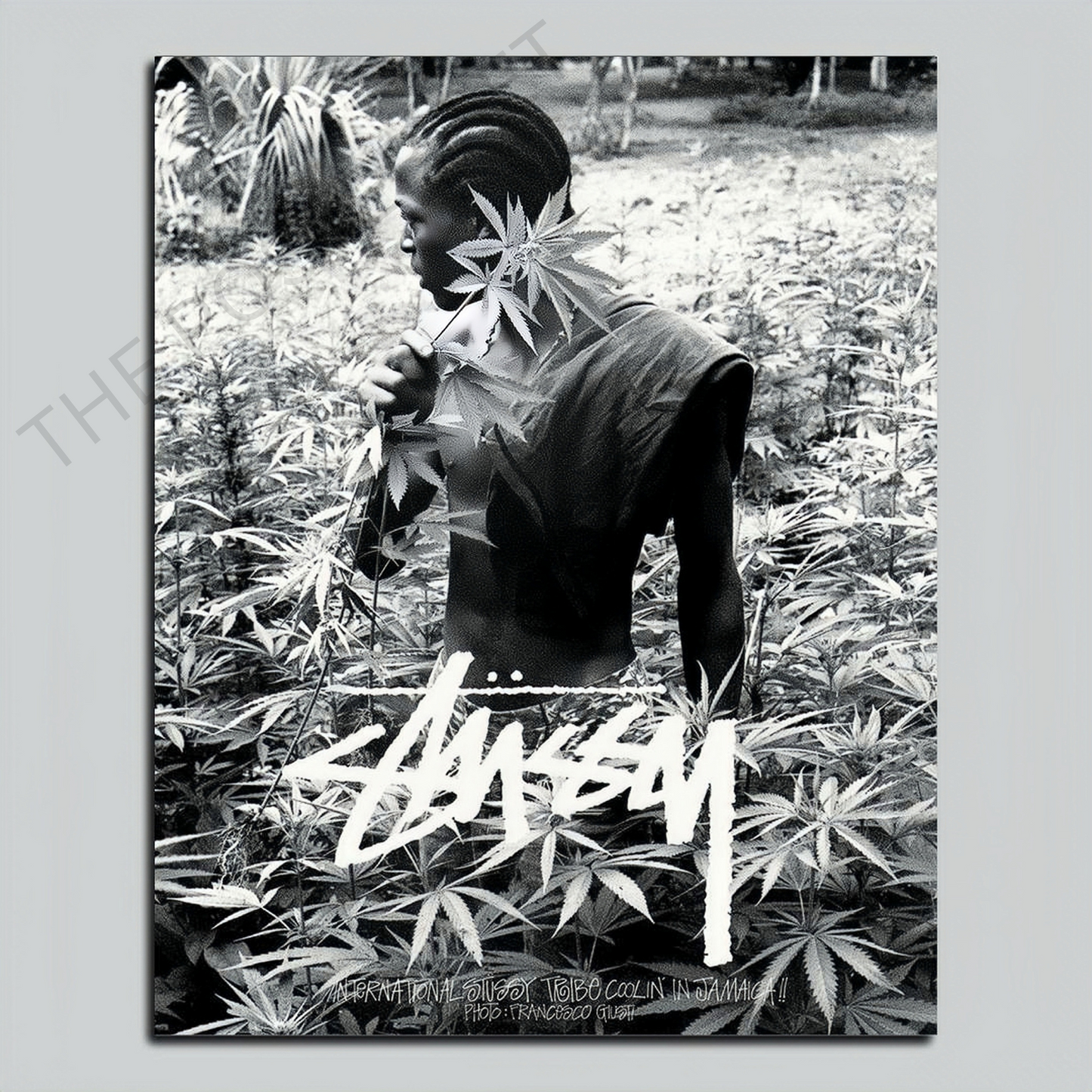 Stussy Wild Herbs