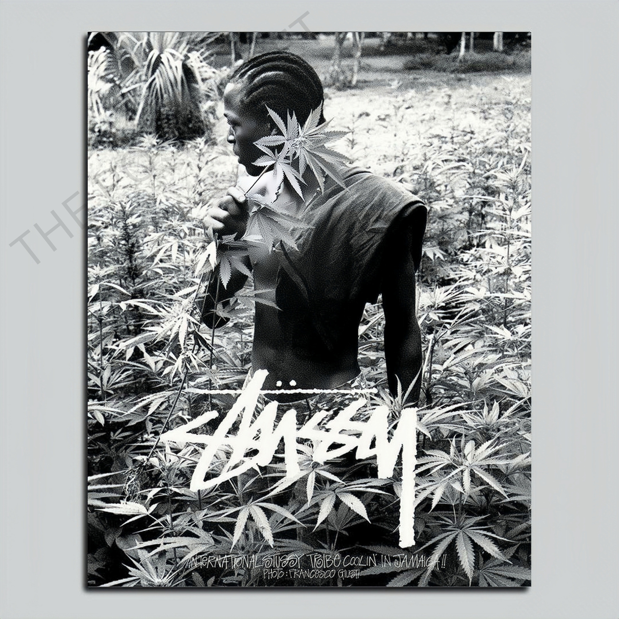 Stussy Wild Herbs